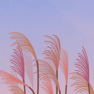 recommend sound image